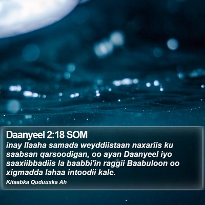 Daanyeel 2:18 SOM Bible Verse Image