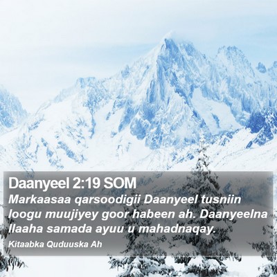 Daanyeel 2:19 SOM Bible Verse Image