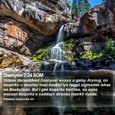 Daanyeel 2:24 SOM Bible Verse Image