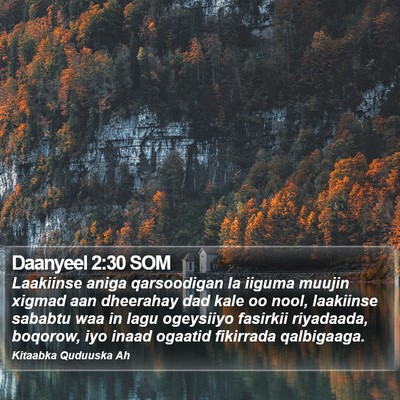 Daanyeel 2:30 SOM Bible Verse Image