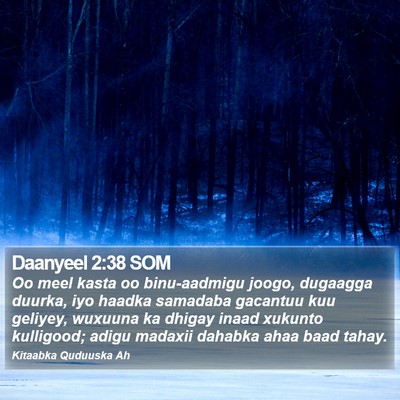 Daanyeel 2:38 SOM Bible Verse Image