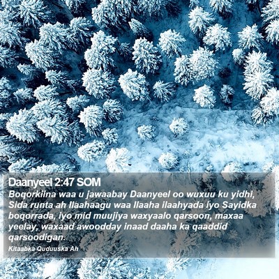Daanyeel 2:47 SOM Bible Verse Image