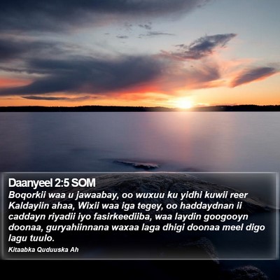 Daanyeel 2:5 SOM Bible Verse Image