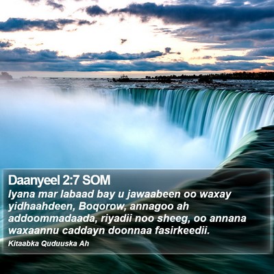 Daanyeel 2:7 SOM Bible Verse Image