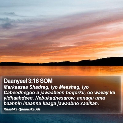 Daanyeel 3:16 SOM Bible Verse Image