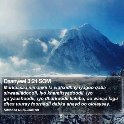 Daanyeel 3:21 SOM Bible Verse Image