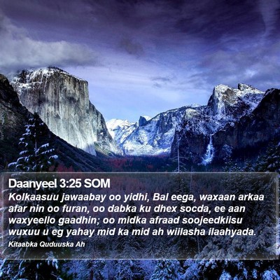 Daanyeel 3:25 SOM Bible Verse Image