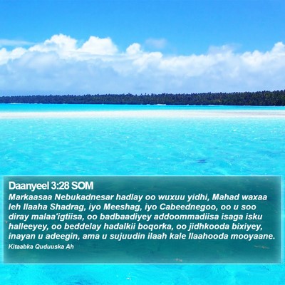 Daanyeel 3:28 SOM Bible Verse Image