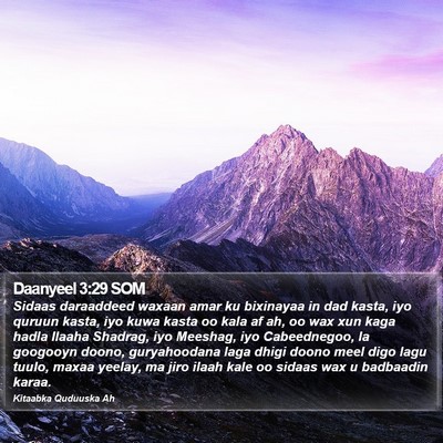 Daanyeel 3:29 SOM Bible Verse Image