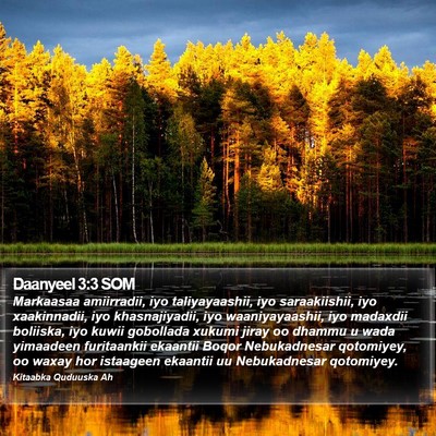 Daanyeel 3:3 SOM Bible Verse Image