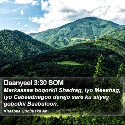 Daanyeel 3:30 SOM Bible Verse Image