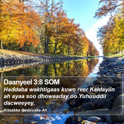 Daanyeel 3:8 SOM Bible Verse Image
