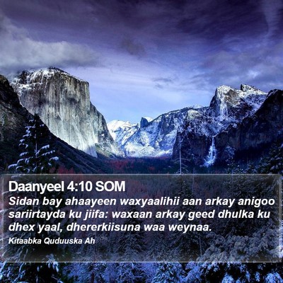 Daanyeel 4:10 SOM Bible Verse Image