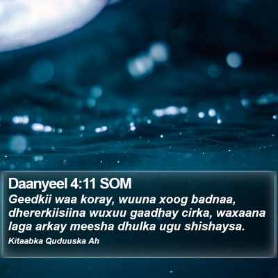 Daanyeel 4:11 SOM Bible Verse Image