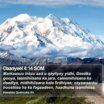 Daanyeel 4:14 SOM Bible Verse Image