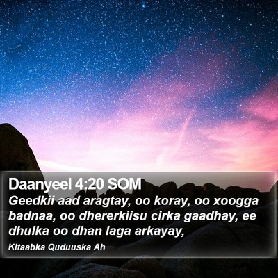 Daanyeel 4:20 SOM Bible Verse Image