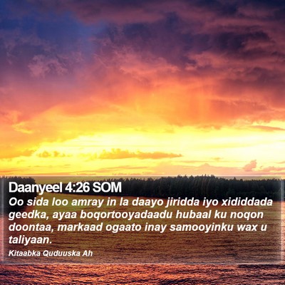 Daanyeel 4:26 SOM Bible Verse Image