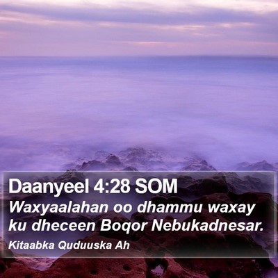 Daanyeel 4:28 SOM Bible Verse Image