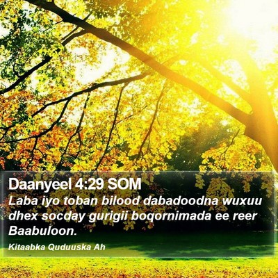 Daanyeel 4:29 SOM Bible Verse Image