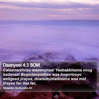 Daanyeel 4:3 SOM Bible Verse Image