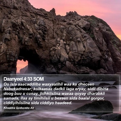 Daanyeel 4:33 SOM Bible Verse Image