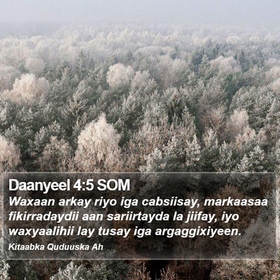 Daanyeel 4:5 SOM Bible Verse Image