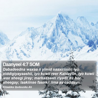 Daanyeel 4:7 SOM Bible Verse Image