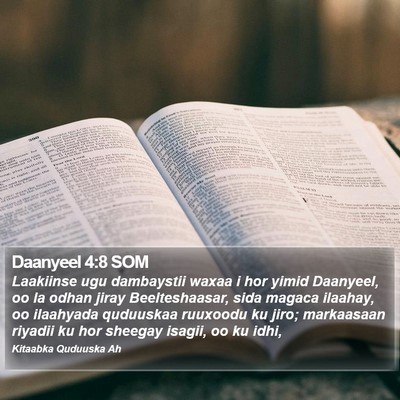 Daanyeel 4:8 SOM Bible Verse Image