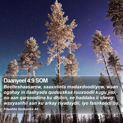 Daanyeel 4:9 SOM Bible Verse Image
