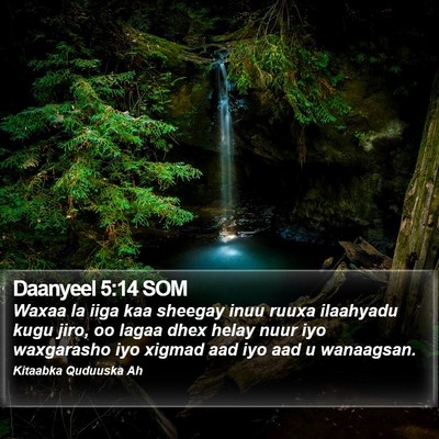 Daanyeel 5:14 SOM Bible Verse Image