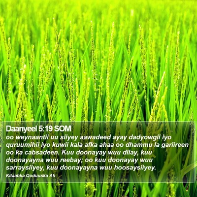 Daanyeel 5:19 SOM Bible Verse Image