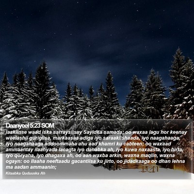 Daanyeel 5:23 SOM Bible Verse Image