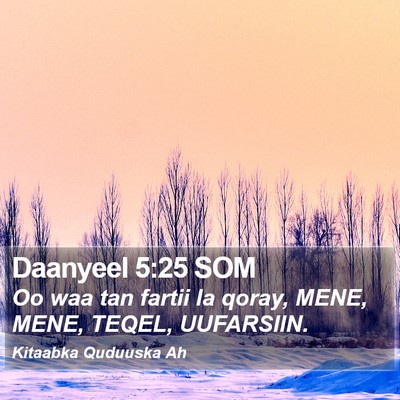 Daanyeel 5:25 SOM Bible Verse Image