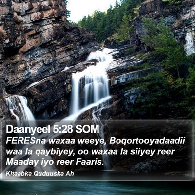 Daanyeel 5:28 SOM Bible Verse Image