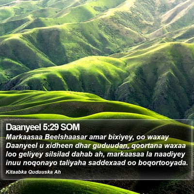Daanyeel 5:29 SOM Bible Verse Image