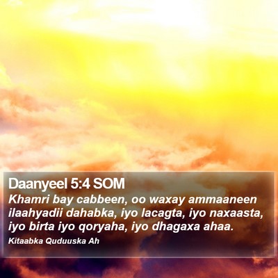 Daanyeel 5:4 SOM Bible Verse Image