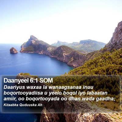 Daanyeel 6:1 SOM Bible Verse Image