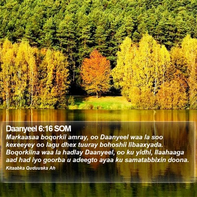 Daanyeel 6:16 SOM Bible Verse Image