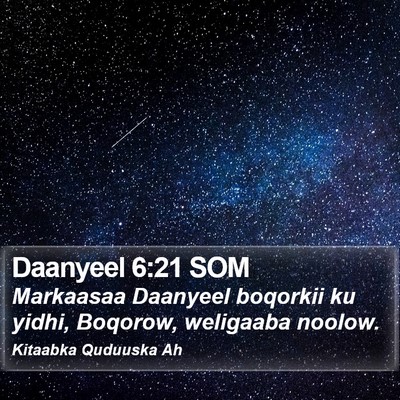 Daanyeel 6:21 SOM Bible Verse Image