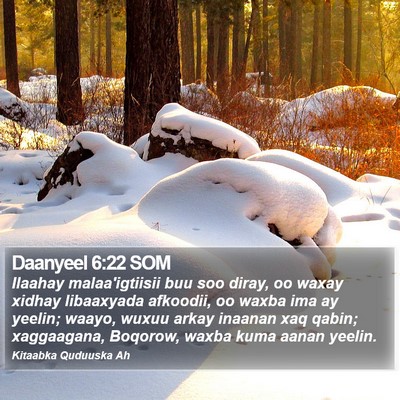 Daanyeel 6:22 SOM Bible Verse Image
