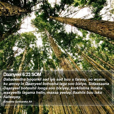 Daanyeel 6:23 SOM Bible Verse Image