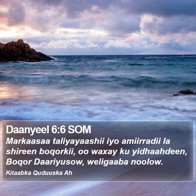 Daanyeel 6:6 SOM Bible Verse Image