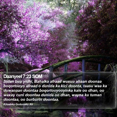 Daanyeel 7:23 SOM Bible Verse Image