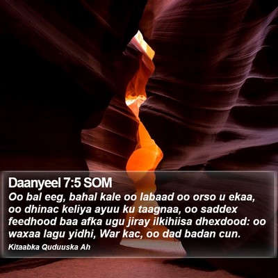 Daanyeel 7:5 SOM Bible Verse Image