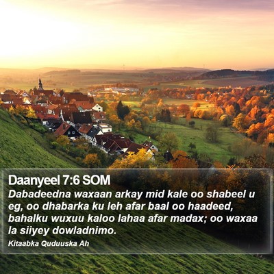 Daanyeel 7:6 SOM Bible Verse Image