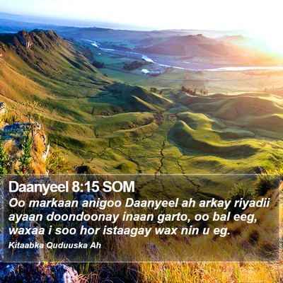 Daanyeel 8:15 SOM Bible Verse Image