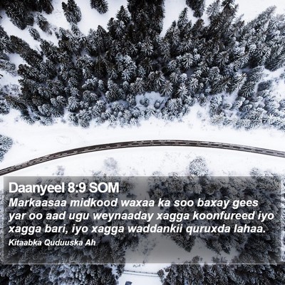 Daanyeel 8:9 SOM Bible Verse Image
