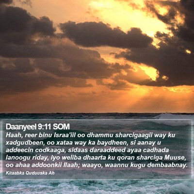 Daanyeel 9:11 SOM Bible Verse Image