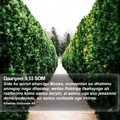 Daanyeel 9:13 SOM Bible Verse Image