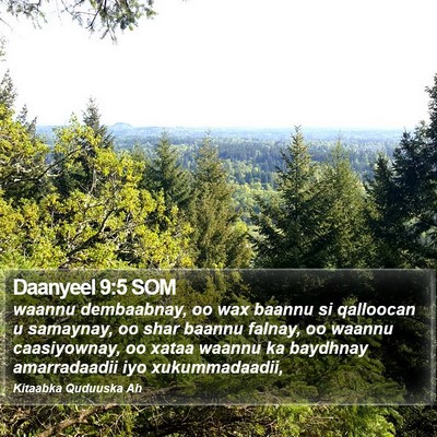 Daanyeel 9:5 SOM Bible Verse Image